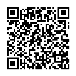 将手里的烧饼放到了其中一个略微大的孩子手中二维码生成