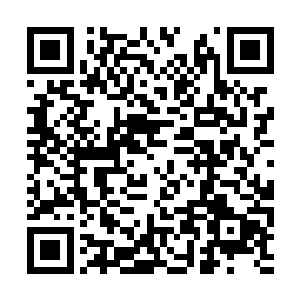 将手里的那几枚子弹头打过来会是一个什么后果了二维码生成