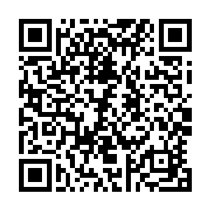 将拌好的狼粪放到城墙四个角砖和石头砌成的长方形的洞里二维码生成