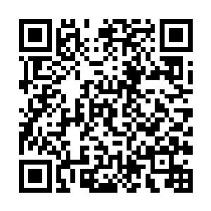 将散落在地面上的绿色液体收集之后放进了储物空间二维码生成