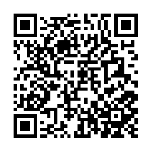 将整个古丹界保护起来……但那个小兔崽子毁了一仪二维码生成