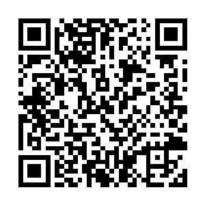 将整个房间还未来得及撤退的人一股脑给推送了出去二维码生成