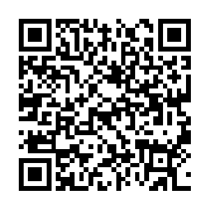 将整个整个星域的力量尽皆加持到我的星域雏形中二维码生成