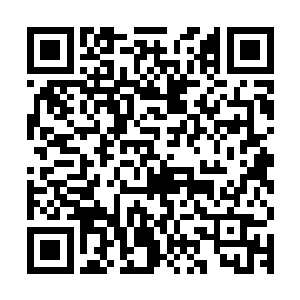 将旁边两株灵药连茎叶枝干和地下的药体一齐吞入了肚子里……二维码生成