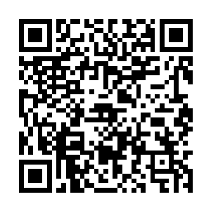 将昨晚和唐晓楠商量自己动手过节的想法告诉李蔓二维码生成