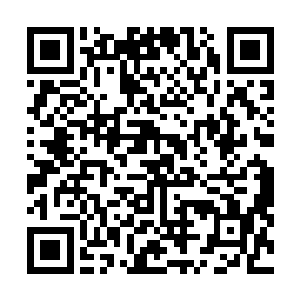 将最后一张引兽符放到了城主府的队伍身后五百米处之后二维码生成