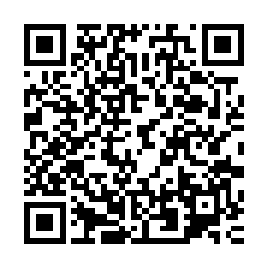 将最终真的陷入感情中的他一个人孤零零地留在这里自生自灭二维码生成