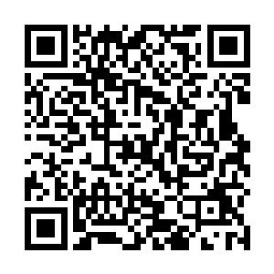 将本能地就要反抗和站起身的夏侯渊晋用力按在座椅上二维码生成