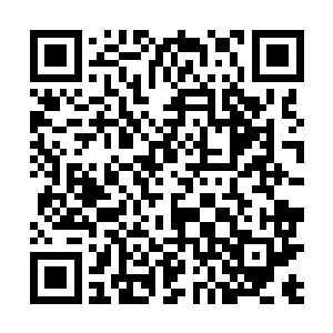 将来万一有个什么事也证明我早和组织上反应过了是不二维码生成