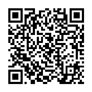 将来他姓郑的子子孙孙只怕在府州永远都抬不起头来二维码生成
