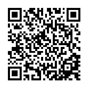 将来会生出一只或者数只长有一张很像猛的脸孔的鱼……呃二维码生成