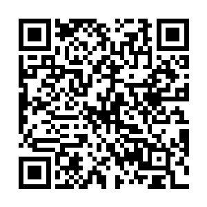 将来可以获得他执导的近三十部作品在中国的dvd发行权二维码生成