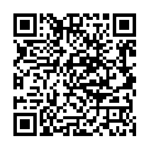 将来四妹妹五妹妹出嫁能给侯府带来这么多的荣华富贵吗二维码生成