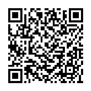 将来是肯定有机会成长为婆婆那个级别的存在啊二维码生成