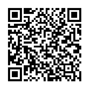 将来有很大的几率能突破大地圣师达到天空圣师的境界二维码生成