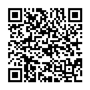 将来都是要用来奖励给他们这些首批加入报晓派弟子的二维码生成