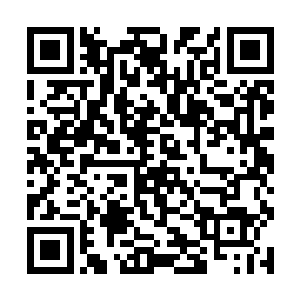 将杨开本人潜藏在脑海深处的邪恶因子也牵引了出来二维码生成