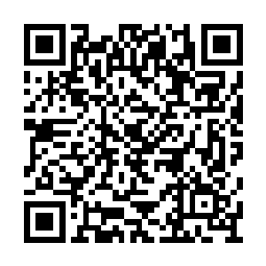 将杨风和紫藤如何的可恶都给大肆的描述了一番二维码生成