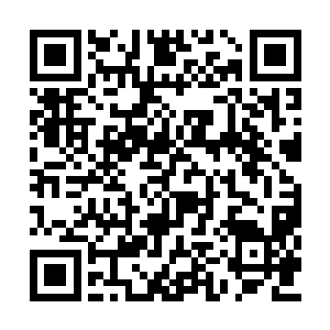 将树上正在休息的鸟儿惊得扑腾扑腾地飞了起来二维码生成