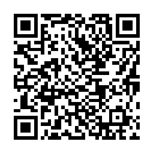 将树枝深深地没入到了雷火冰血蜈身上那巨大的贯穿伤中二维码生成
