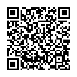 将格斗手的力量与威力用这种方法完全体现出来二维码生成