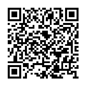 将桌上的账本小心的复又按照顺序放进了箱子里二维码生成