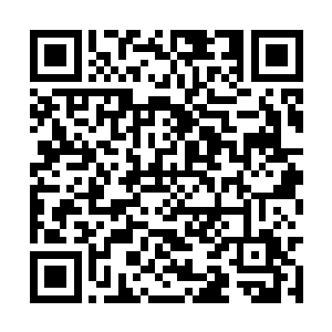 将欣喜迎出来的父母以及年仅七岁的妹妹全部杀掉二维码生成