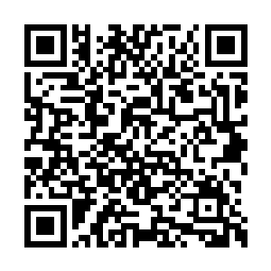 将正在奋力想爬上甲板的葫芦娃尸兄给拉了上来二维码生成