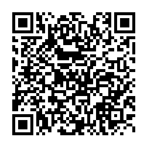 将段鸿难看的脸色误会成了对林封谨这种严重挑衅违反规定的愤怒二维码生成