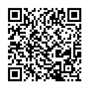 将沤好的苎麻里的细丝抽出后一根一根的接起来二维码生成