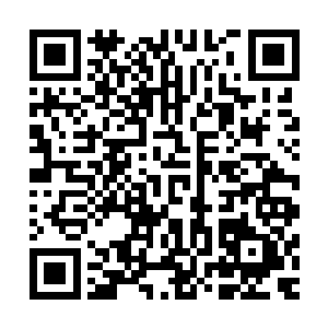 将法能许诺给青阳洞门内所有道修的修复丹从荷包里取了出来二维码生成