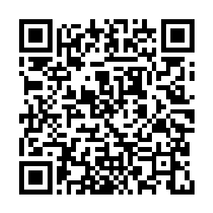 将洛杉矶的喧闹和繁华抛在船尾那阵阵浪花之中二维码生成
