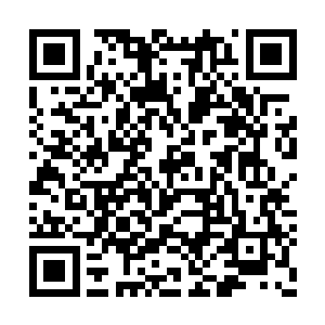 将玉瓶中的所有液体一股脑的全部滴入了神甲上二维码生成