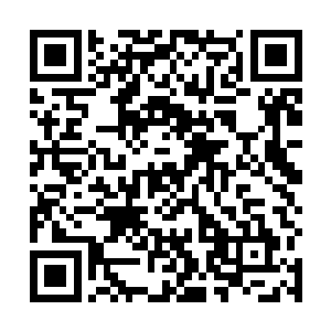 将珠江这场轰轰烈烈的商业和古武之争看了个清清楚楚二维码生成