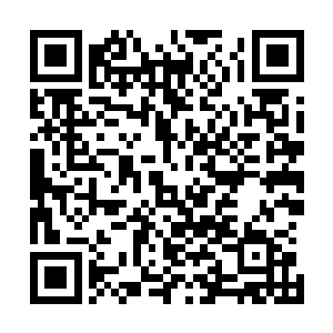 将瓶中魔虫脑组织成分植入分身元神中的腐符尸气封印球上二维码生成