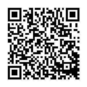 将生机之力和不灭之力发挥到了他这个境界所能拥有的极致二维码生成