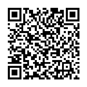 将盖有银月城领主徽章的告示传给每一个店铺的主人二维码生成