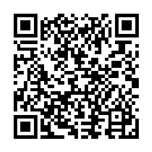 将目光望向了上方构筑拱门的一朵朵小型虚无之花二维码生成