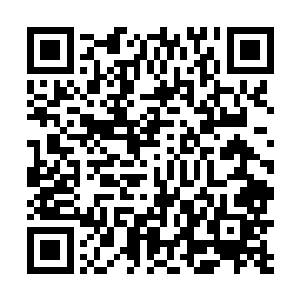 将目光望向卡奴基斯方向的娜丽丝立即将目光收了回来二维码生成