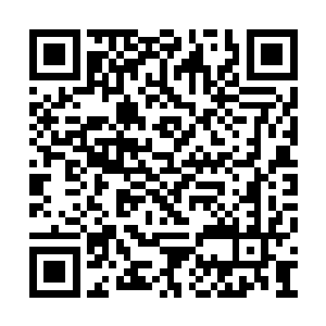 将目光重新放在了少妇张王氏以及船夫王贵身上二维码生成