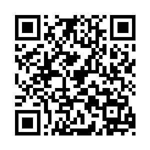 将石榻上正在啃食白晶的小家伙一起收了起来二维码生成