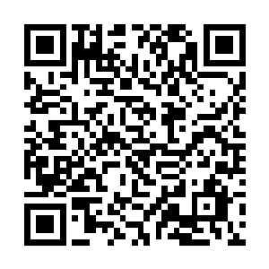 将羞辱过巫咸国使者和国主的岛主给直接抓拿了过来二维码生成