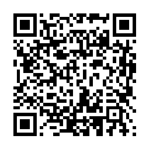 将腾空而起的蛟龙和黑衣左使全部收入了腊山秘境图内二维码生成