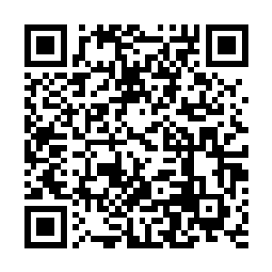 将自己一腔子热血溅在了自己萧字大旗上面…………自己二维码生成