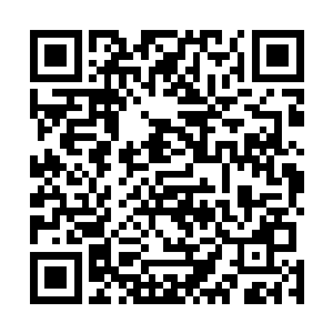 将自己专门为自己的孩子准备的早餐放到两个孩子的面前二维码生成