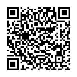 将自己了解的讯息都输送到一个玉简内交给了三个人二维码生成