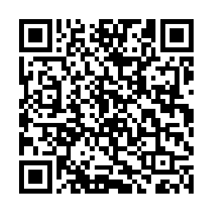 将自己体内的生命之气源源不断地输送到凌霄的体内二维码生成