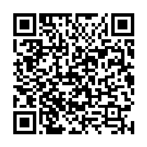 将自己前几日炼制出来的几枚上品百转帝元丹塞给冰云二维码生成