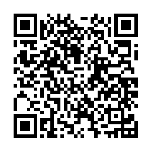 将自己的元力透射进去帮助心道压制着魔族种子的扩散二维码生成