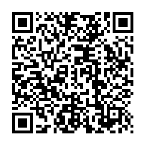 将自己的声音传入了那因为他的表现而有些愣神和不解的虫皇耳中二维码生成